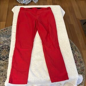 Vibrant Red Chino Pants with Straight Leg